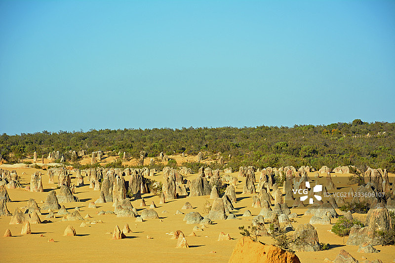澳大利亚西澳大利亚州南邦国家公园尖峰石阵沙漠图片素材