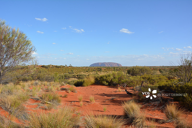乌鲁鲁，尤拉腊，红色中心，澳大利亚北部领地图片素材