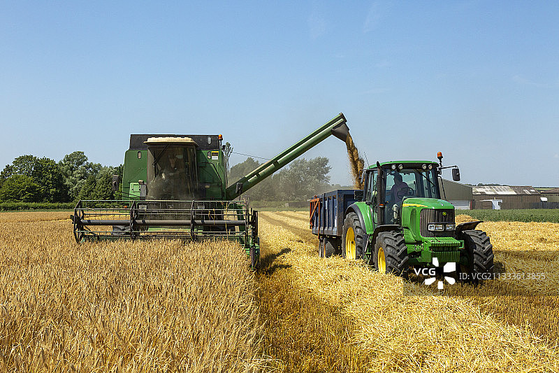 英格兰大麦丰收图片素材