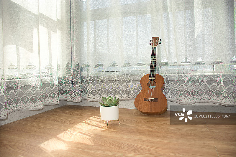 悠闲阳光的下午，多肉和乐器，文艺与小清新图片素材