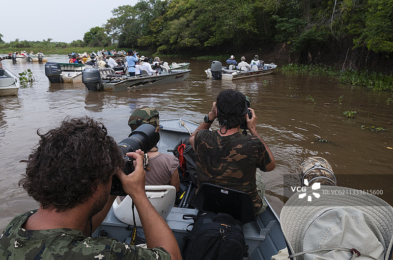 巴西马托格罗索潘塔纳尔湿地库亚巴河上的狩猎旅行照片图片素材