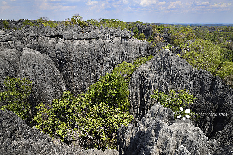 马达加斯加贝马拉哈青灰岩国家公园的热带喀斯特地貌景观图片素材