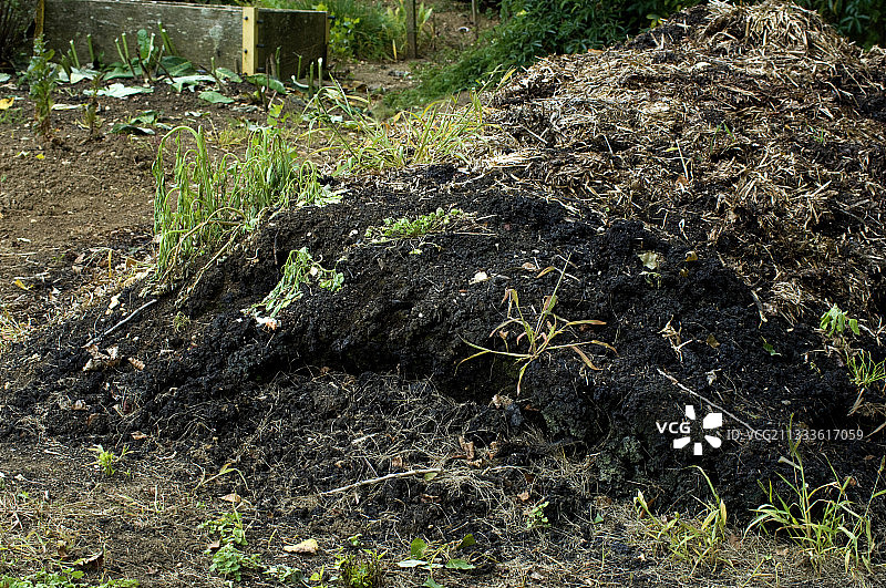 菜园里的堆肥图片素材