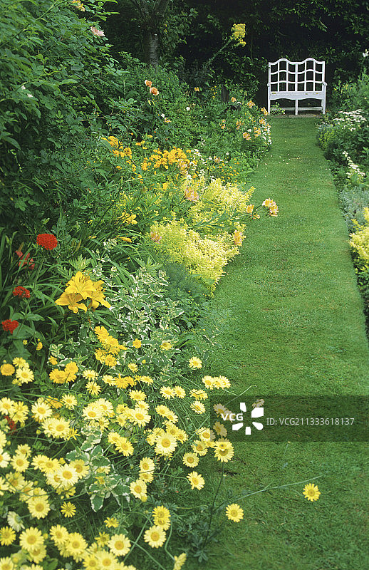草坪小路和黄色春黄菊，杂色薄荷，牛至，百合，英格兰西格林花园图片素材