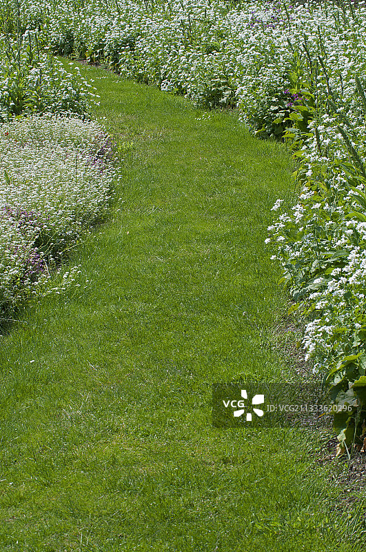 鲜花盛开的草地小路图片素材