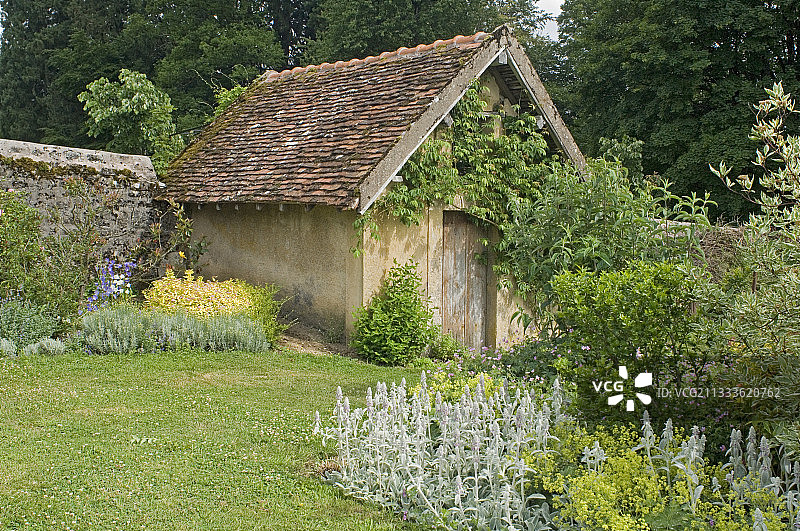 法国勃艮第“Jardin de la Chaux”花园的植被和花园小屋，草径两旁种满多年生植物图片素材