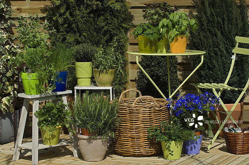 露台上的香草盆栽：欧芹、韭菜、百里香等图片素材