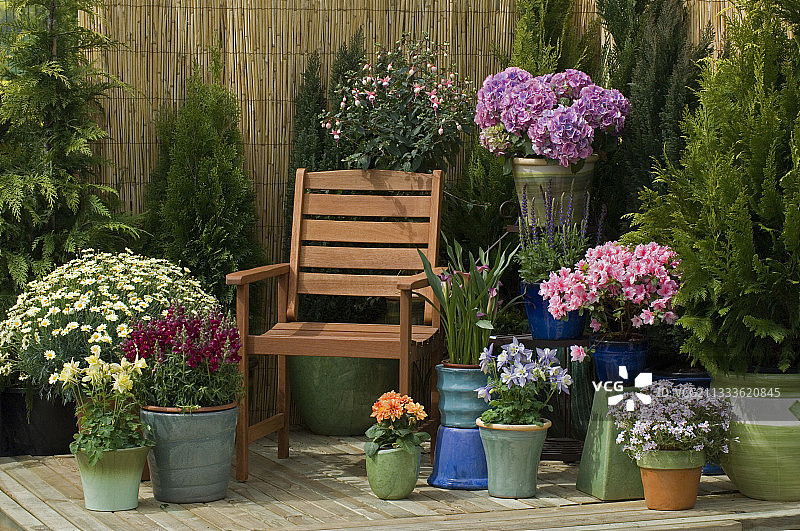 鲜花盛开的露台上的花盆：福禄考、玛格丽特雏菊、法国绣球、杜鹃花、蓝色耧斗菜、大丽花、金鱼草、海芋、倒挂金钟、林地鼠尾草图片素材