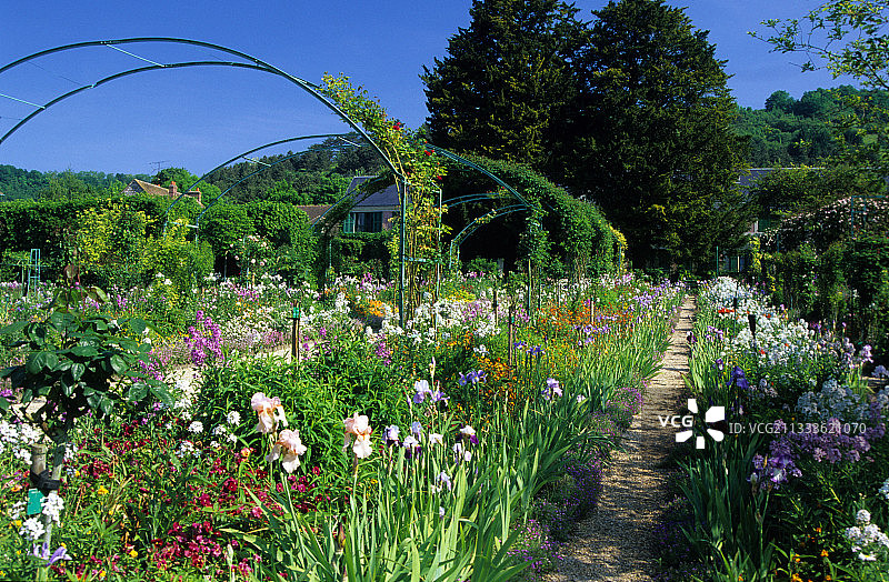 法国吉维尼的克劳德·莫奈花园图片素材