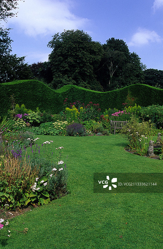 草坪车道，多年生植物床，英国斯托顿的雷兰柏树树篱图片素材