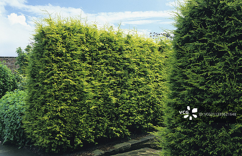 雷兰柏图片素材