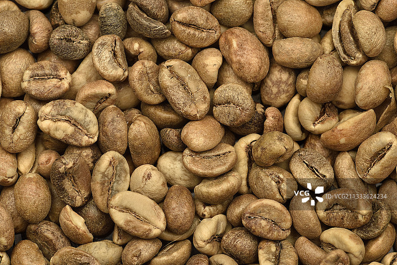 烘烤前的罗布斯塔咖啡树（Coffea canephora）种子，马达加斯加阿拉特拉-曼戈罗地区图片素材