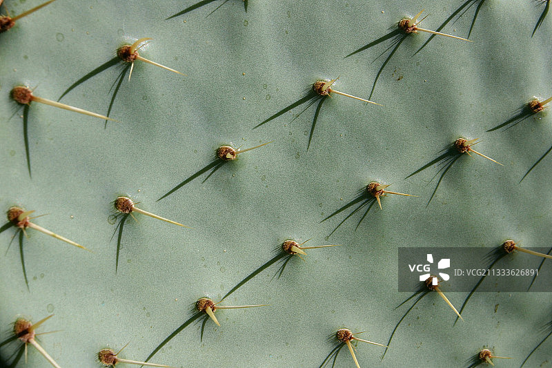 床单的细节图片素材
