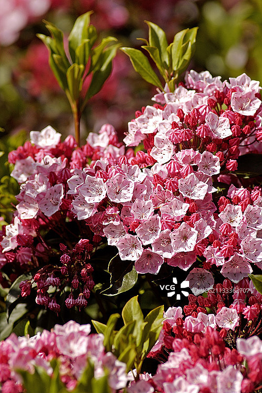 地点：班德萨普特图片素材