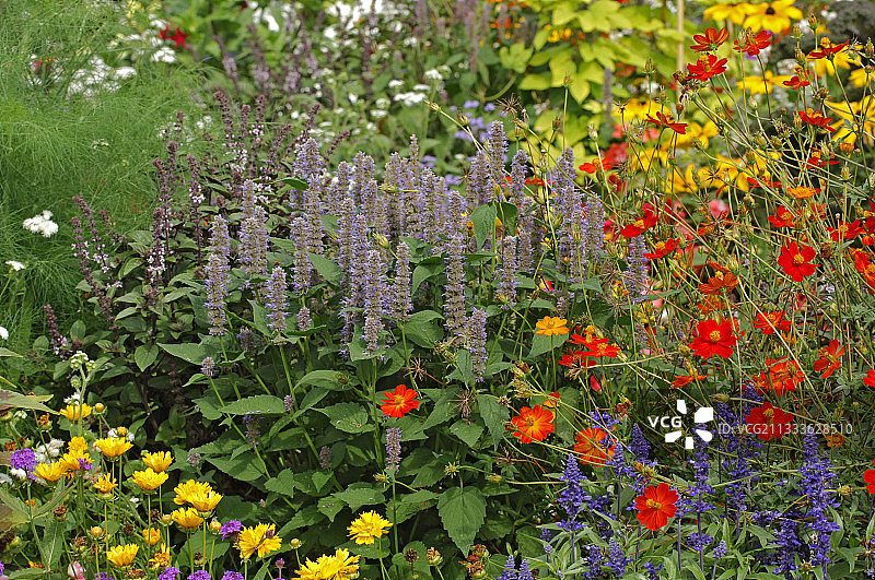 年度夏季边框图片素材