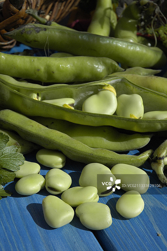 七月的蚕豆图片素材