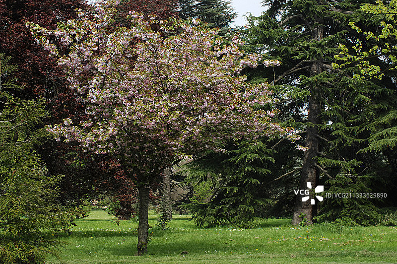 ‘北斋’李图片素材