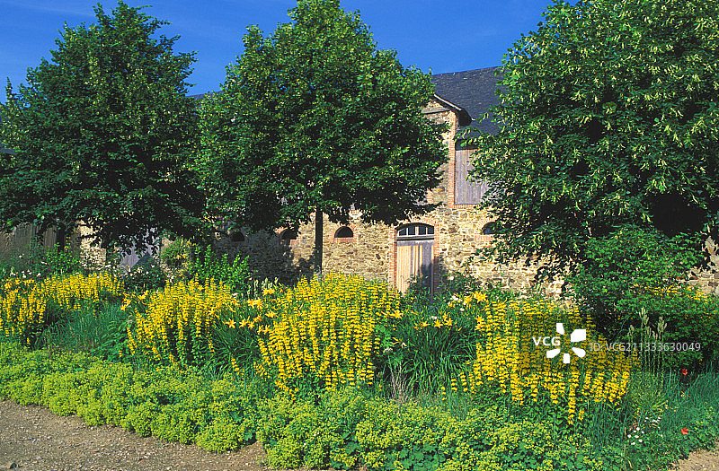 六月圣克莱门特教堂的黄色边框图片素材