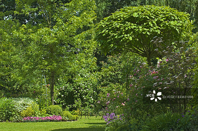 奥迪尔花园景色图片素材