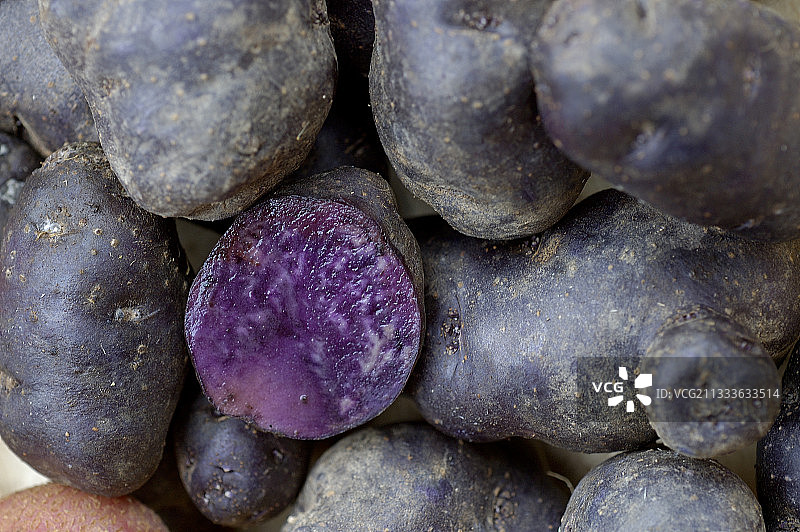 雷佩的比亚于菜园图片素材