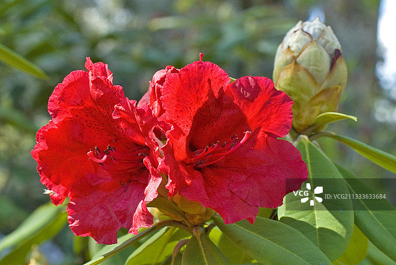 索恩河畔沙隆公社：上午拍摄图片素材