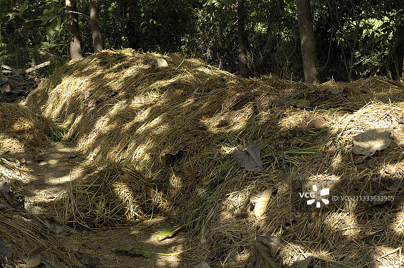 印度泰米尔纳德邦覆盖着稻草的堆肥图片素材