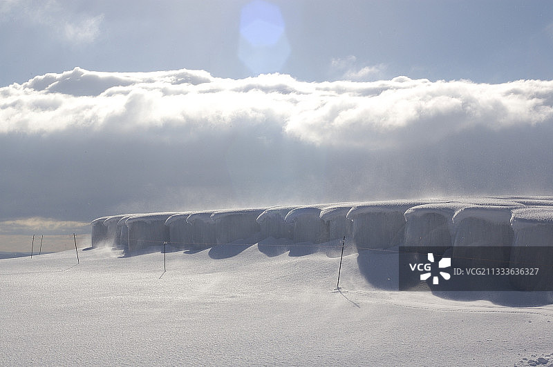 法国欧布拉克高原白雪覆盖下的麦秸堆图片素材