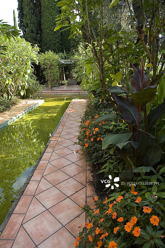 埃夫鲁西·德·罗斯柴尔德在法国蔚蓝海岸的花园图片素材