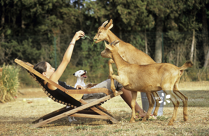 10岁的小女孩和3个月大的小狗图片素材
