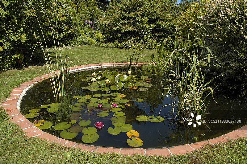 香塔尔和阿兰的花园图片素材