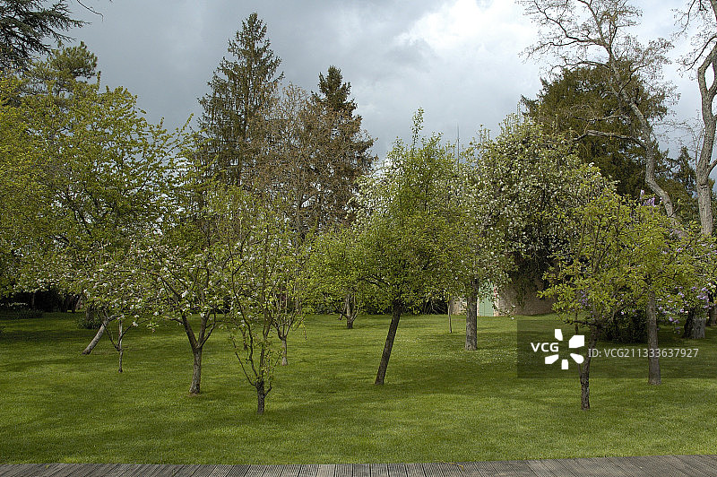 法国维也纳四月花园：草坪与果树图片素材