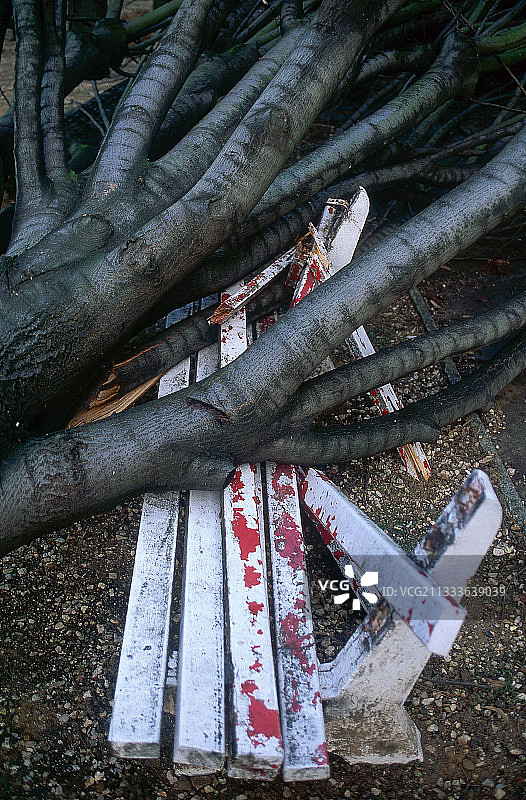 法国巴黎：倒在公共长椅上的树木图片素材