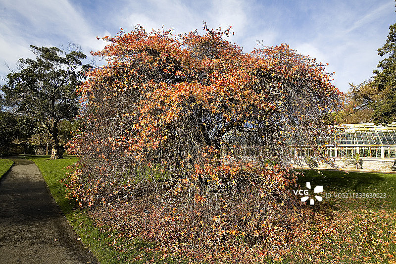 地点：都柏林图片素材