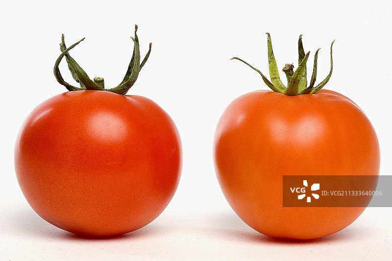 温室番茄和露天番茄的肖像图片素材