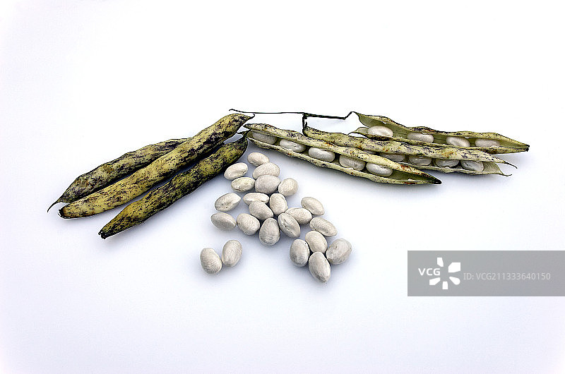 来自南美约1920年传入法国的半干哈里科特豆，潘波尔地区于1998年12月9日获得AOC认证。图片素材