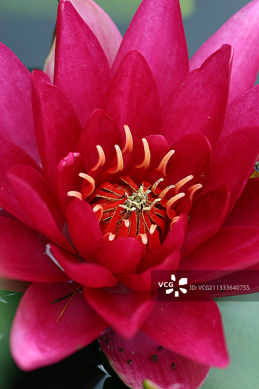 在公园里图片素材