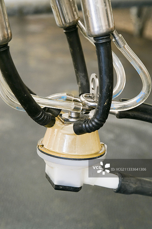 法国挤奶机刮痕和套筒图片素材