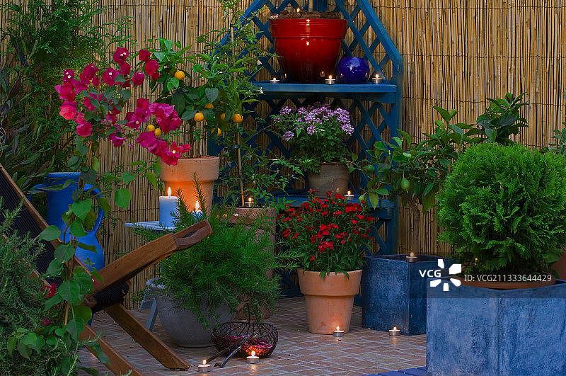 苗圃：Ltd. Pepinieres Jean Rey (F-83)图片素材