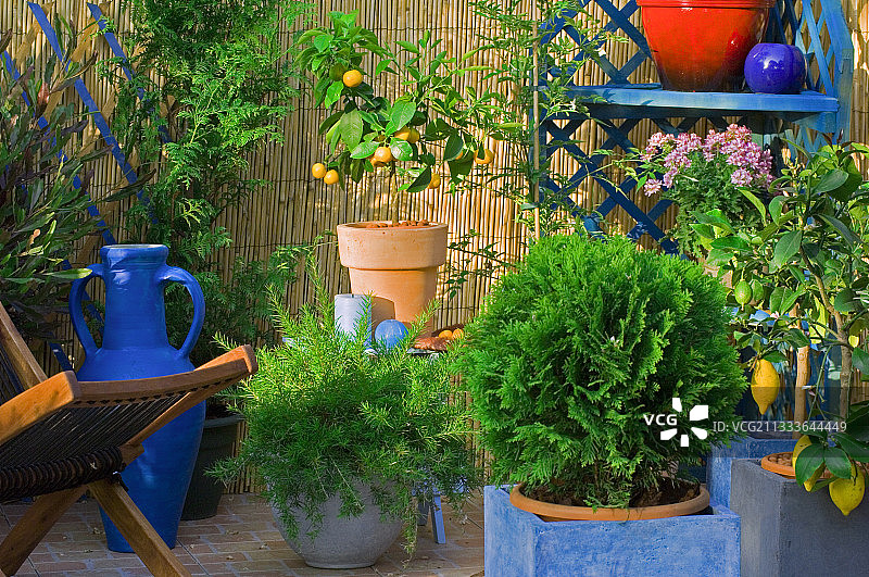 苗圃：Ltd. Pepinieres Jean Rey (F-83)图片素材