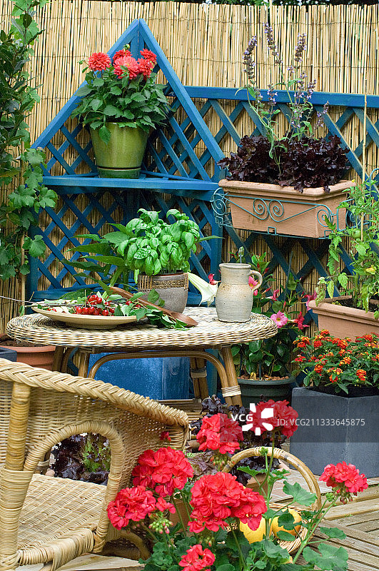鲜花露台上种植的香草和莴苣图片素材