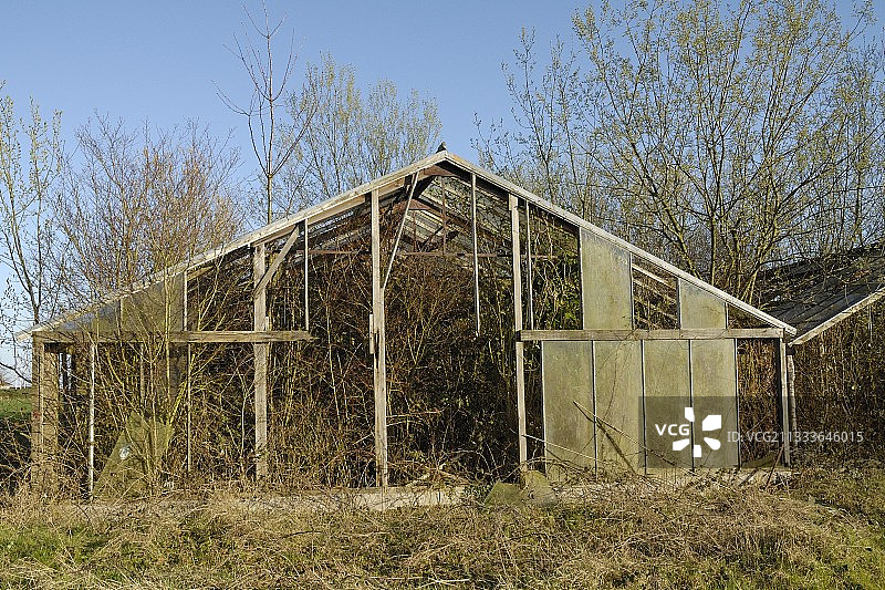 法国废弃的温室：被大自然侵蚀的文化图片素材