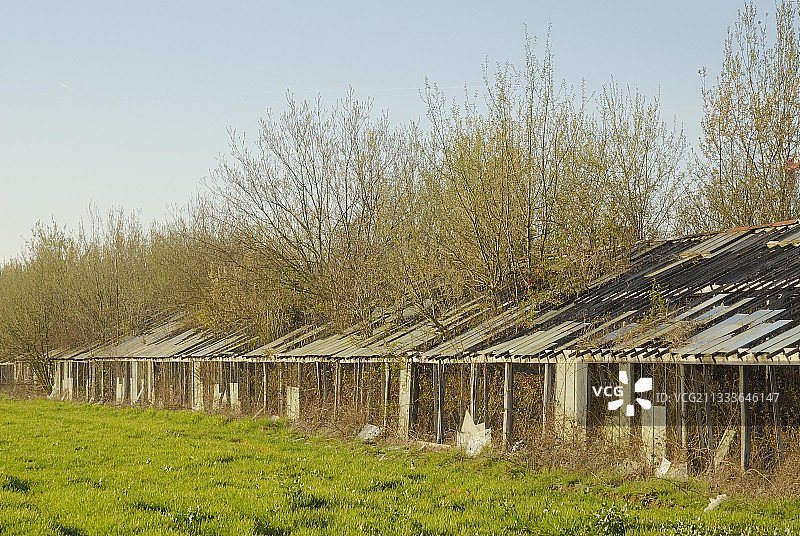 法国废弃的温室：被大自然侵蚀的文化图片素材