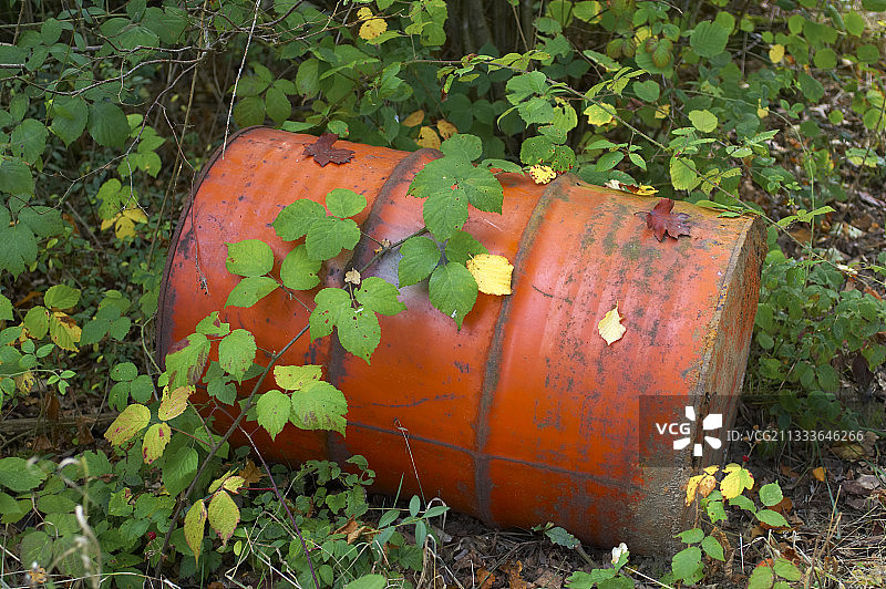 生锈的铁桶上的蔓生植物图片素材