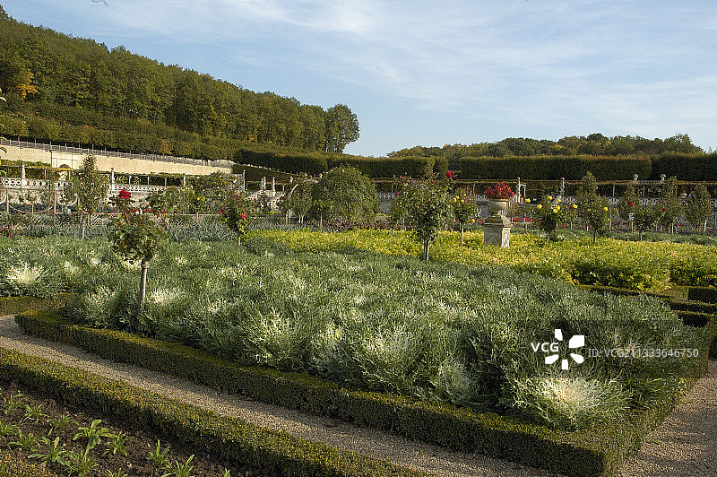 法国安德尔-卢瓦尔省维朗德里的厨房花园图片素材
