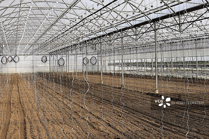 悬挂在温室中的灯具可用作照明图片素材