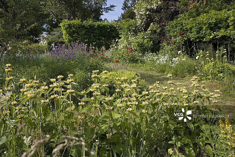 埃尔西法国花园的弗洛米斯山图片素材