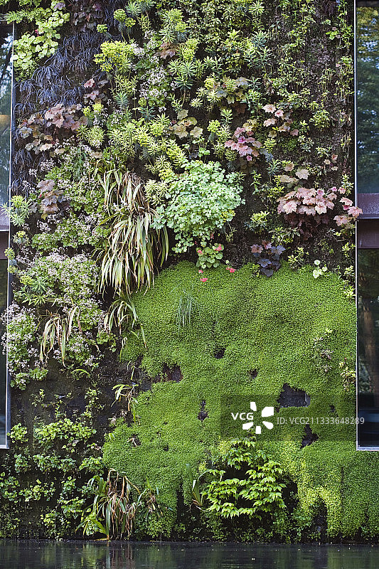 巴黎布朗利河岸博物馆墙壁植物图片素材