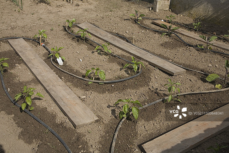 法国微孔管道胡椒喷雾系统图片素材