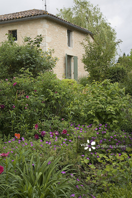 波尔多家庭花园多年生植物群图片素材