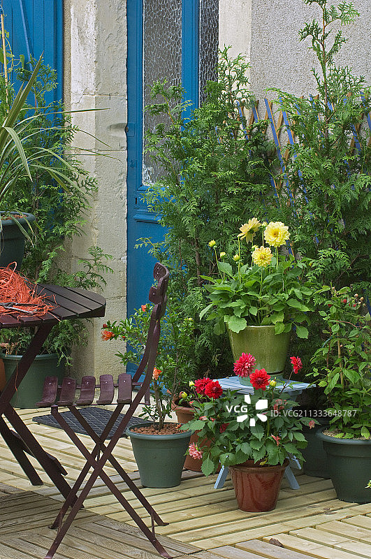 鲜花盛开的花园露台图片素材